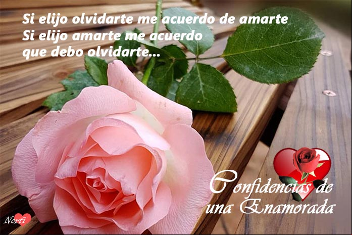Confidencias de una mujer locamente enamorada y apasionada