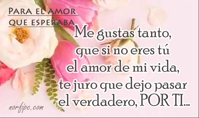 Frases para el amor que esperaba y al fin encontré