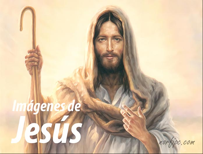 Imágenes de la vida y pasión de Jesucristo