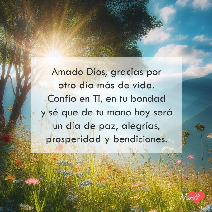 Amado Dios, gracias por otro día más de vida. Confío en Ti, en tu bondad y sé que de tu mano, hoy será un día lleno de paz, alegrías, prosperidad y bendiciones. Amén Rayos del sol del amanecer entre las ramas de un arbol en un prado con flores