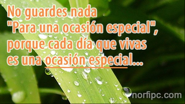 Frase cristiana de aliento