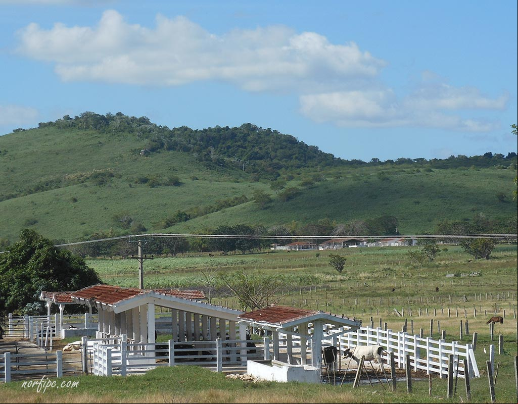 El Valle de Picadura y la Sierra de Camarones o Arcos de Canasí 