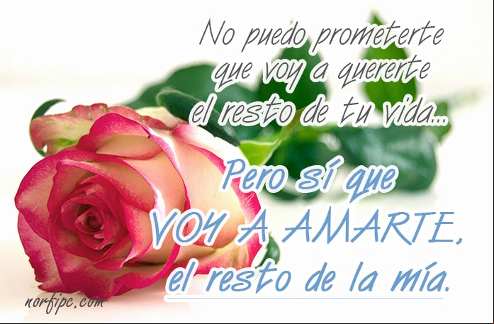 Mensaje de amor: Voy a amarte el resto de mi vida