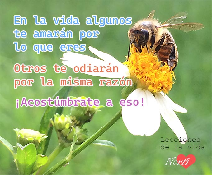 Consejos para la vida de mi abuela