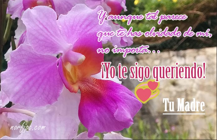 Mensajes de una madre para sus hijos en el Día de las Madres