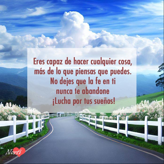 Carretera con flores y cerca blanca