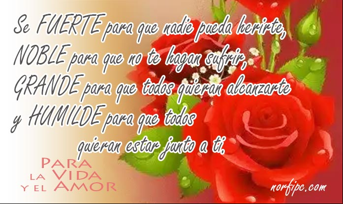 Frases y pensamientos sobre la vida y el amor para Facebook y Twitter