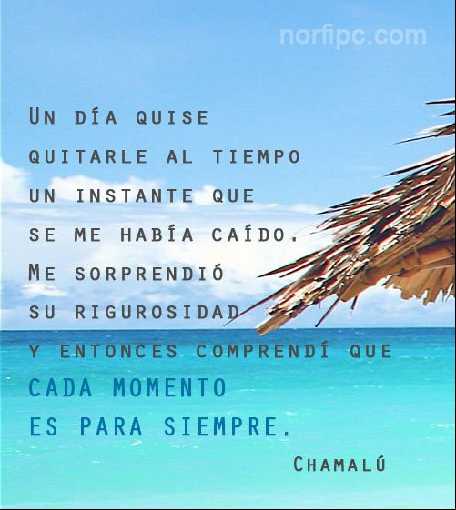 Pensamiento sobre la felicidad de Chamalú