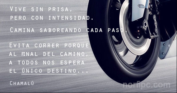 Vive sin prisa pero con intensidad. Reflexion de Chamalú
