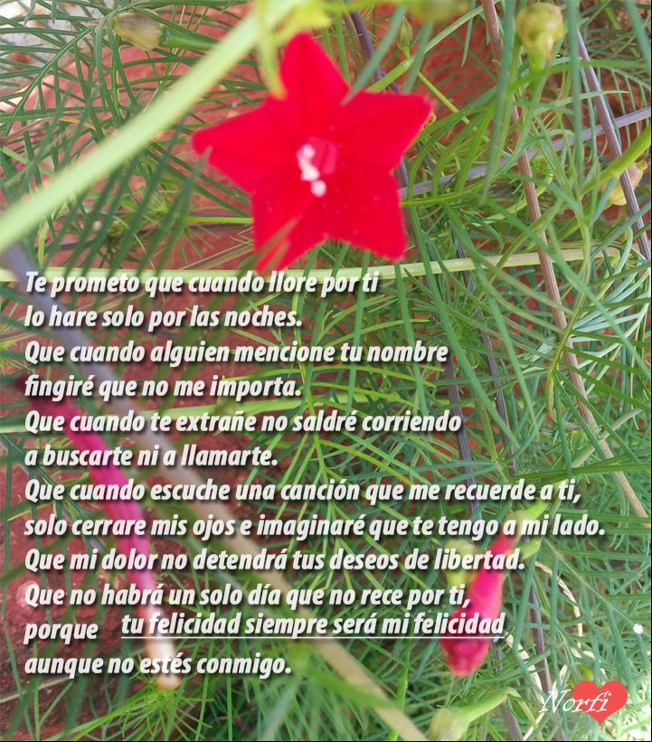 Aunque ya no estés conmigo Poema de amor: Aunque ya no estés conmigo