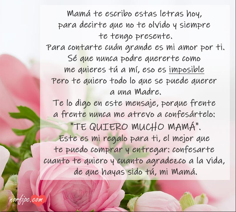 Carta de amor para mi Madre, poema para confesarle cuanto le quiero