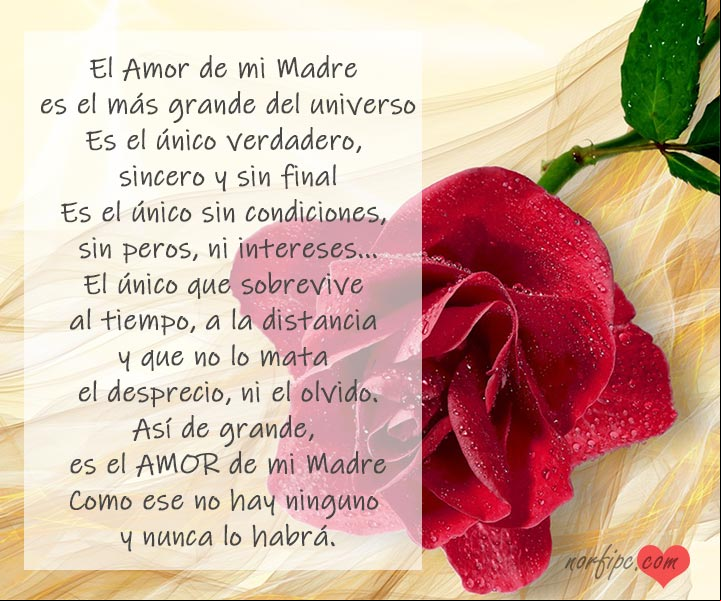 El amor de mi Madre, poema para agradecer su inmenso y eterno amor