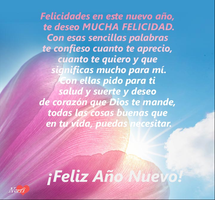 Le pido a Dios para ti mucha felicidad en este nuevo año