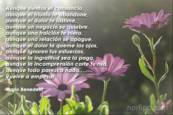 Vuelve a empezar, poema de Mario Benedetti