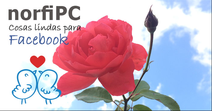 Cosas lindas para compartir en Facebook y en otras redes sociales de internet