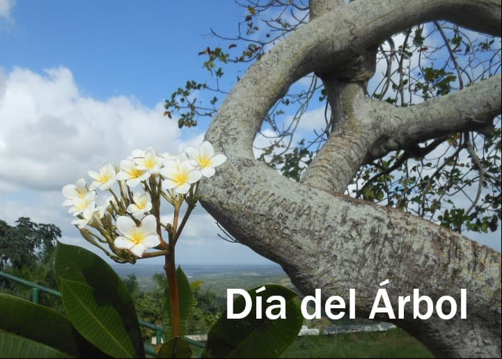 Fechas que se celebra el Día del Árbol