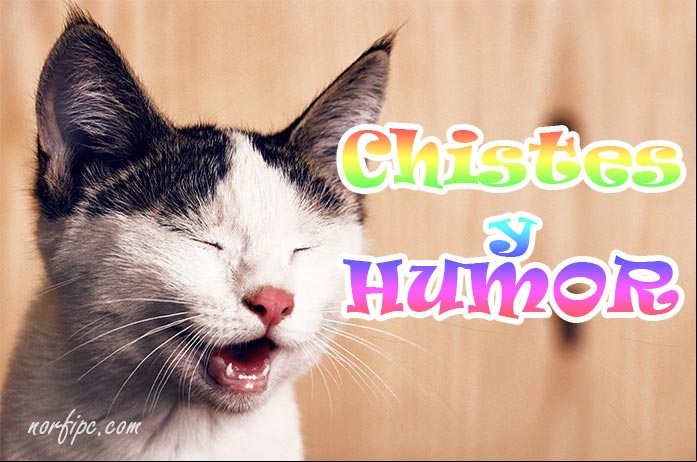 Chistes y humor para Twitter